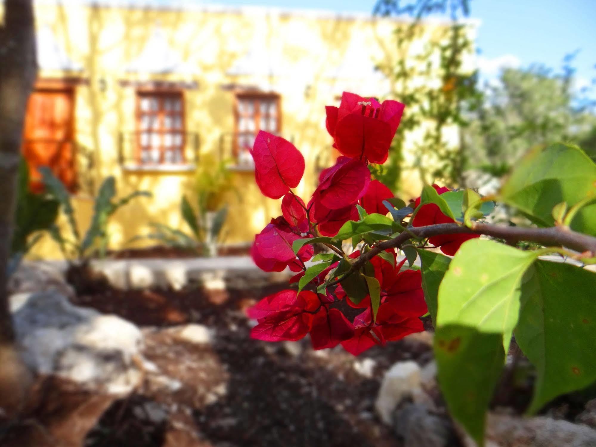 Hacienda Cobá Acomodação com café da manhã Exterior foto